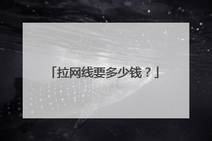 拉网线要多少钱？