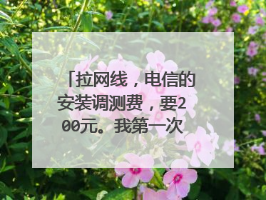 拉网线，电信的安装调测费，要200元。我第一次弄网线。这个月买了电脑没钱，先开一个月网线，下个月再