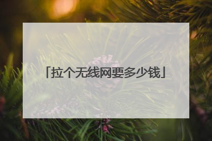 拉个无线网要多少钱