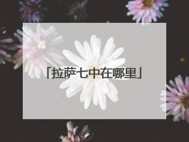 拉萨七中在哪里