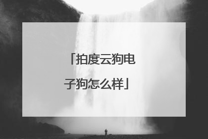 拍度云狗电子狗怎么样