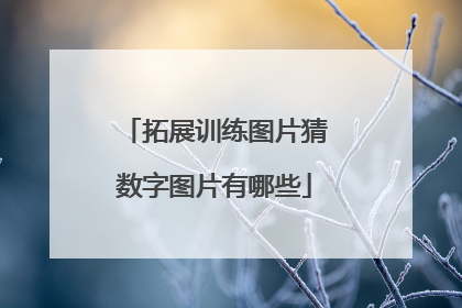 拓展训练图片猜数字图片有哪些