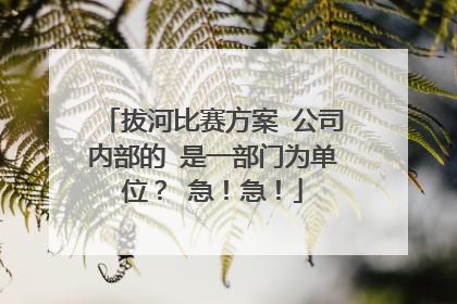 拔河比赛方案 公司内部的 是一部门为单位？ 急！急！