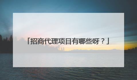 招商代理项目有哪些呀?
