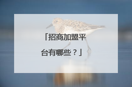 招商加盟平台有哪些？