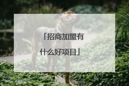 招商加盟有什么好项目