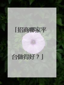 招商哪家平台做得好？