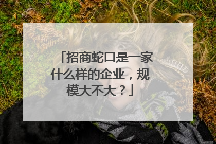 招商蛇口是一家什么样的企业,规模大不大?