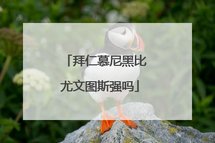 拜仁慕尼黑比尤文图斯强吗