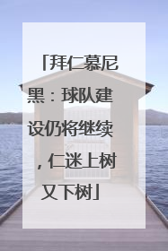 拜仁慕尼黑：球队建设仍将继续，仁迷上树又下树