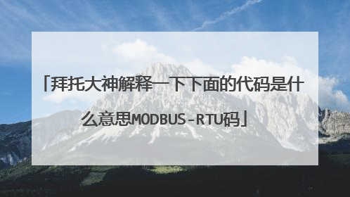 拜托大神解释一下下面的代码是什么意思MODBUS-RTU码