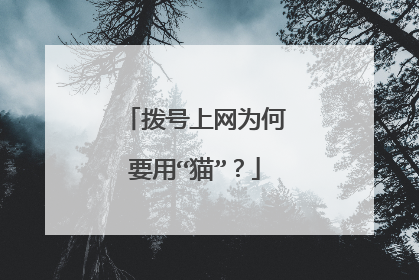 拨号上网为何要用“猫”?