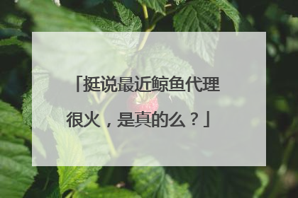 挺说最近鲸鱼代理很火,是真的么?