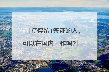 持停留T签证的人,可以在国内工作吗?