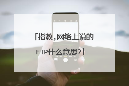 指教,网络上说的FTP什么意思?