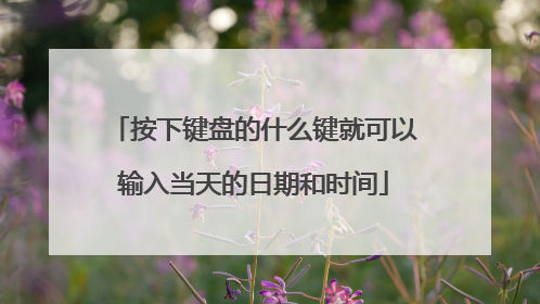 按下键盘的什么键就可以输入当天的日期和时间