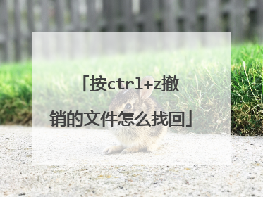 按ctrl+z撤销的文件怎么找回