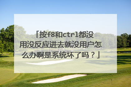 按f8和ctrl都没用没反应进去就没用户怎么办啊是系统坏了吗？