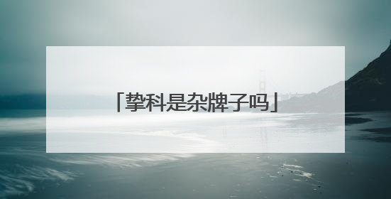 挚科是杂牌子吗