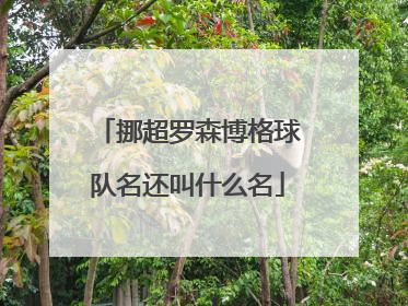 挪超罗森博格球队名还叫什么名