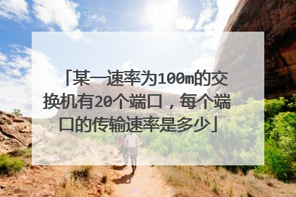 某一速率为100m的交换机有20个端口,每个端口的传输速率是多少