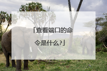 查看端口的命令是什么?