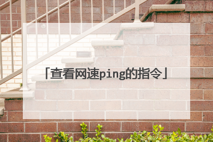 查看网速ping的指令