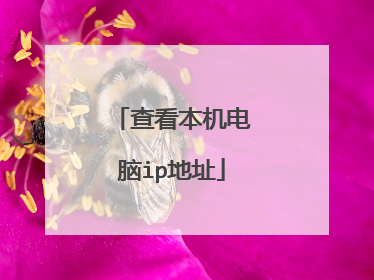 查看本机电脑ip地址