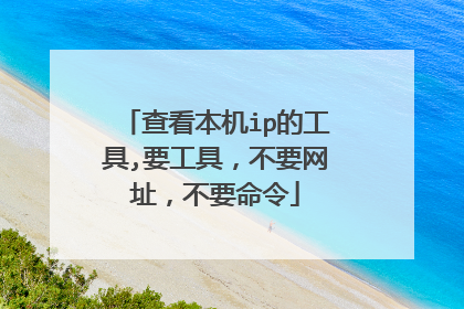 查看本机ip的工具,要工具,不要网址,不要命令