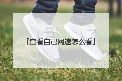 查看自己网速怎么看