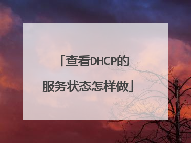 查看DHCP的服务状态怎样做