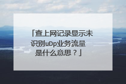 查上网记录显示未识别uDp业务流量是什么意思？