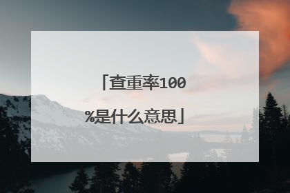 查重率100%是什么意思
