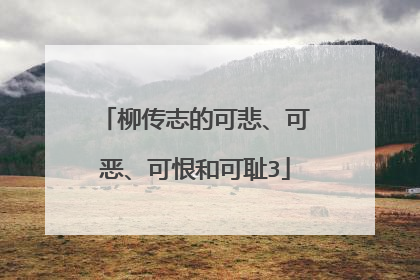 柳传志的可悲、可恶、可恨和可耻3