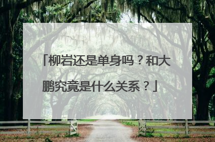 柳岩还是单身吗?和大鹏究竟是什么关系?
