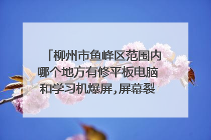 柳州市鱼峰区范围内哪个地方有修平板电脑和学习机爆屏,屏幕裂,快速修复的地方