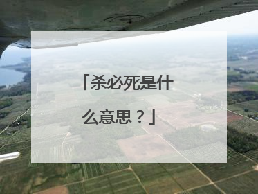 杀必死是什么意思?