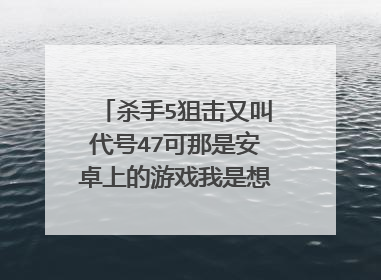 杀手5狙击又叫代号47可那是安卓上的游戏我是想玩PC上的杀手狙击请问有吗?