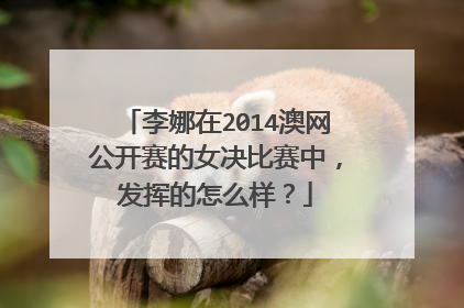 李娜在2014澳网公开赛的女决比赛中，发挥的怎么样？