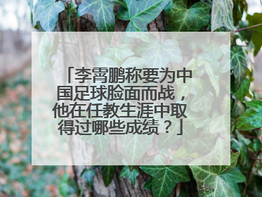 李霄鹏称要为中国足球脸面而战，他在任教生涯中取得过哪些成绩？