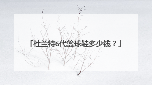 杜兰特6代篮球鞋多少钱？