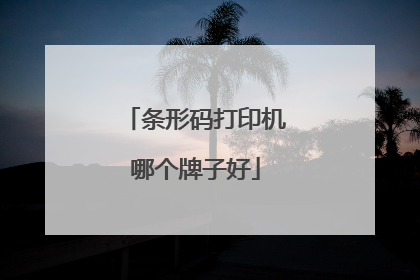 条形码打印机哪个牌子好