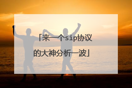 来一个sip协议的大神分析一波