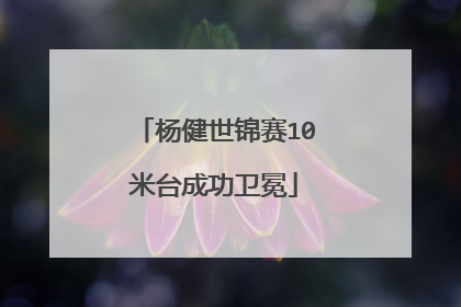 杨健世锦赛10米台成功卫冕