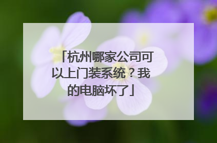 杭州哪家公司可以上门装系统？我的电脑坏了