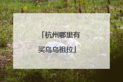 杭州哪里有买乌乌祖拉