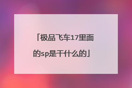 极品飞车17里面的sp是干什么的