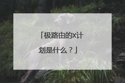 极路由的X计划是什么？