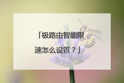 极路由智能限速怎么设置?