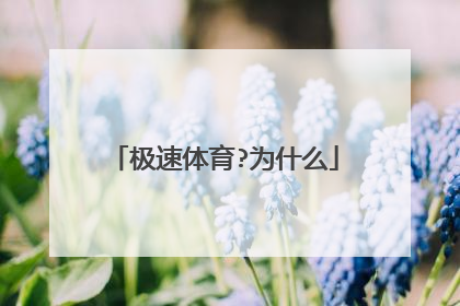 极速体育?为什么
